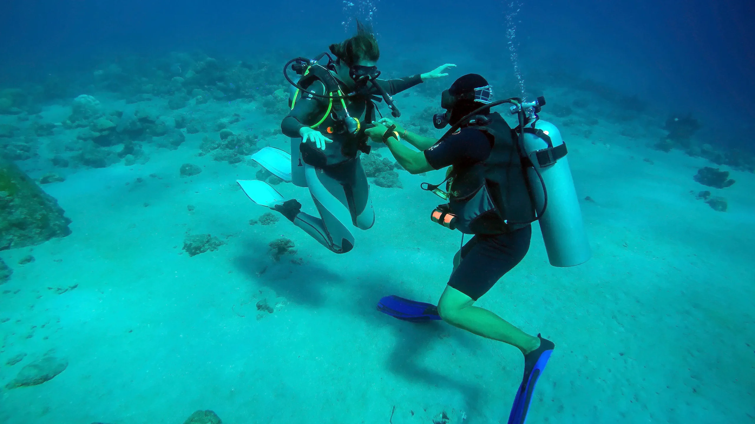 Introductory scuba dive in nice