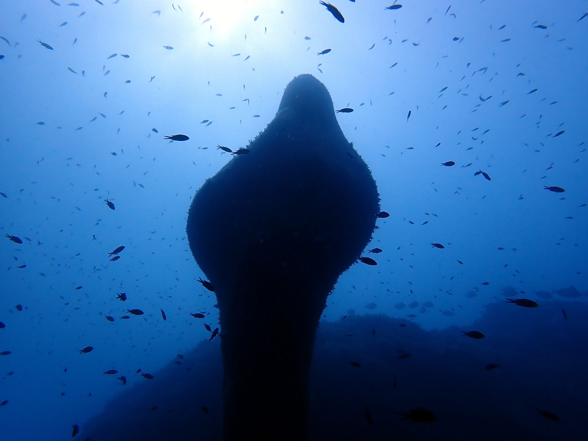 La Vierge sous-marine de Nice -The underwater Virgin of Nice